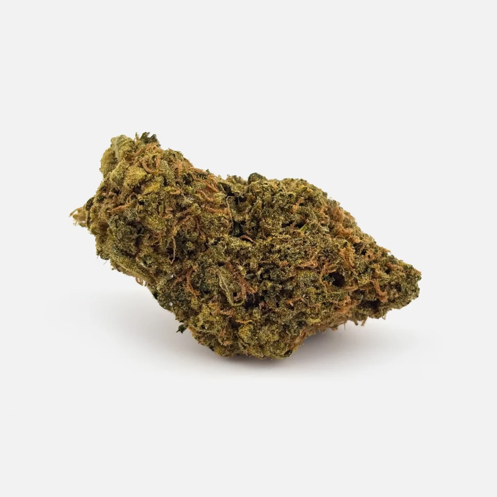 Cannovum-Karels-Haze von PharmaTerps online Cannabis Apotheke Regensburg