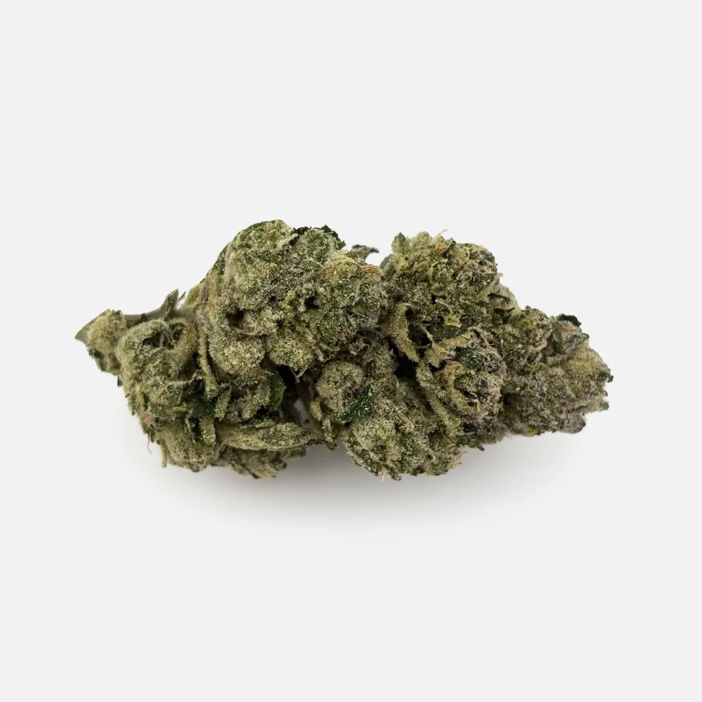 Cannabis Blüte von PharmaTerps online Cannabis Apotheke Regensburg