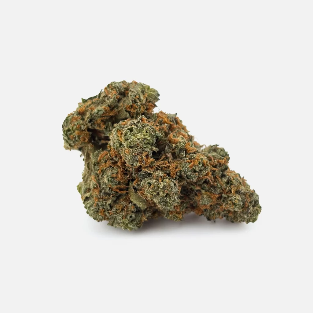 Cannabis Blüte von PharmaTerps online Cannabis Apotheke Regensburg