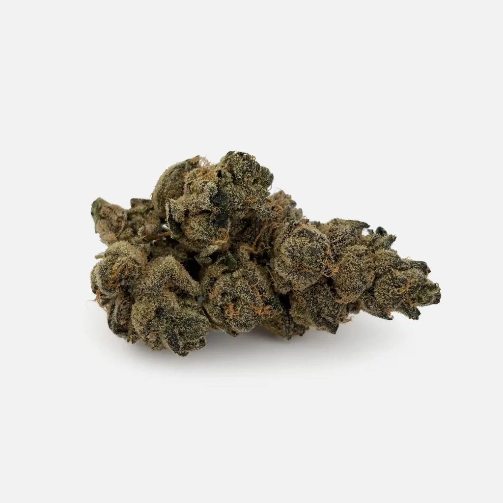 Cannabis Blüte von PharmaTerps online Cannabis Apotheke Regensburg
