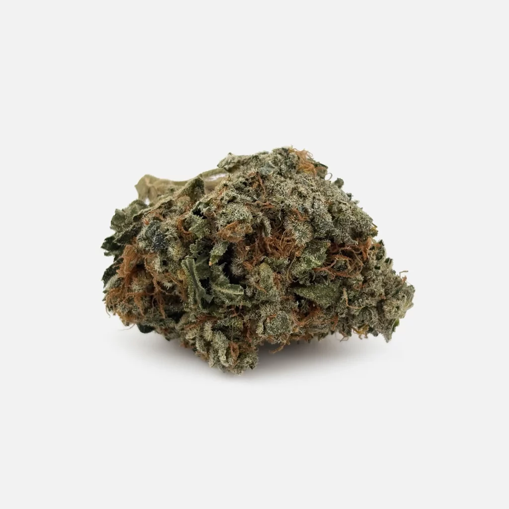 Cannabis Blüte von PharmaTerps online Cannabis Apotheke Regensburg
