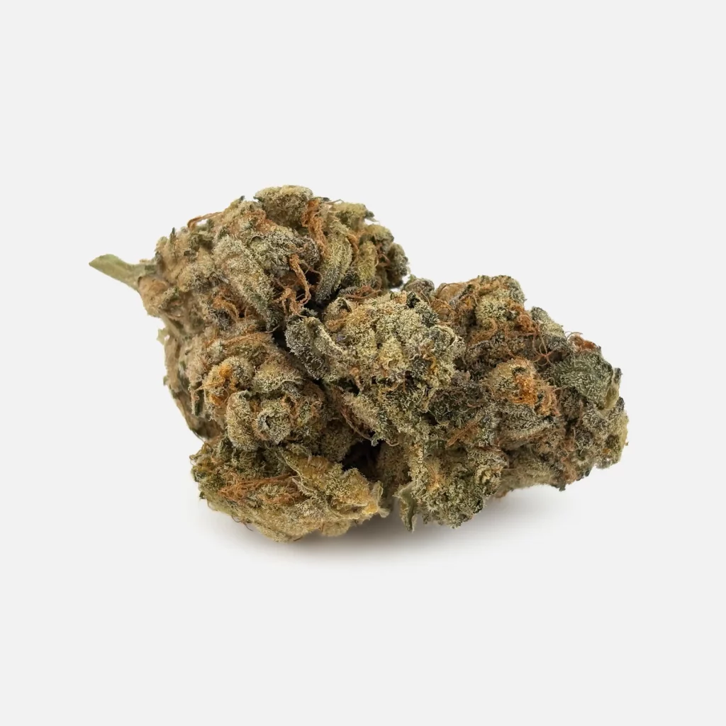 Cannabis Blüte von PharmaTerps online Cannabis Apotheke Regensburg