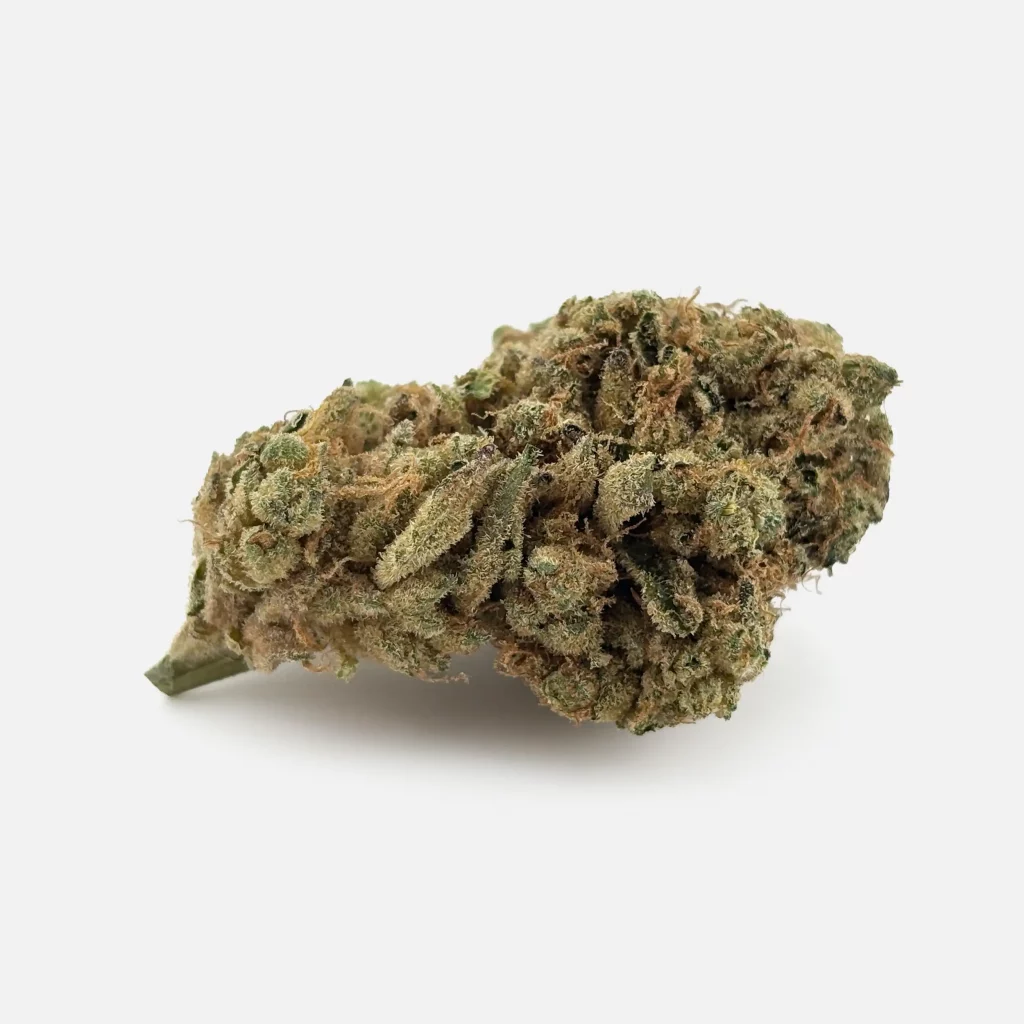 Cannabis Blüte von PharmaTerps online Cannabis Apotheke Regensburg
