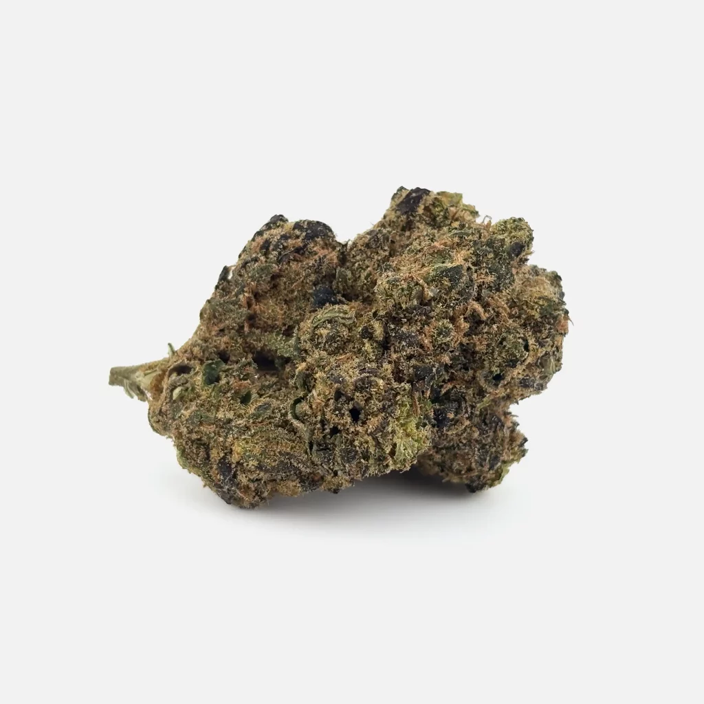 Cannabis Blüte von PharmaTerps online Cannabis Apotheke Regensburg