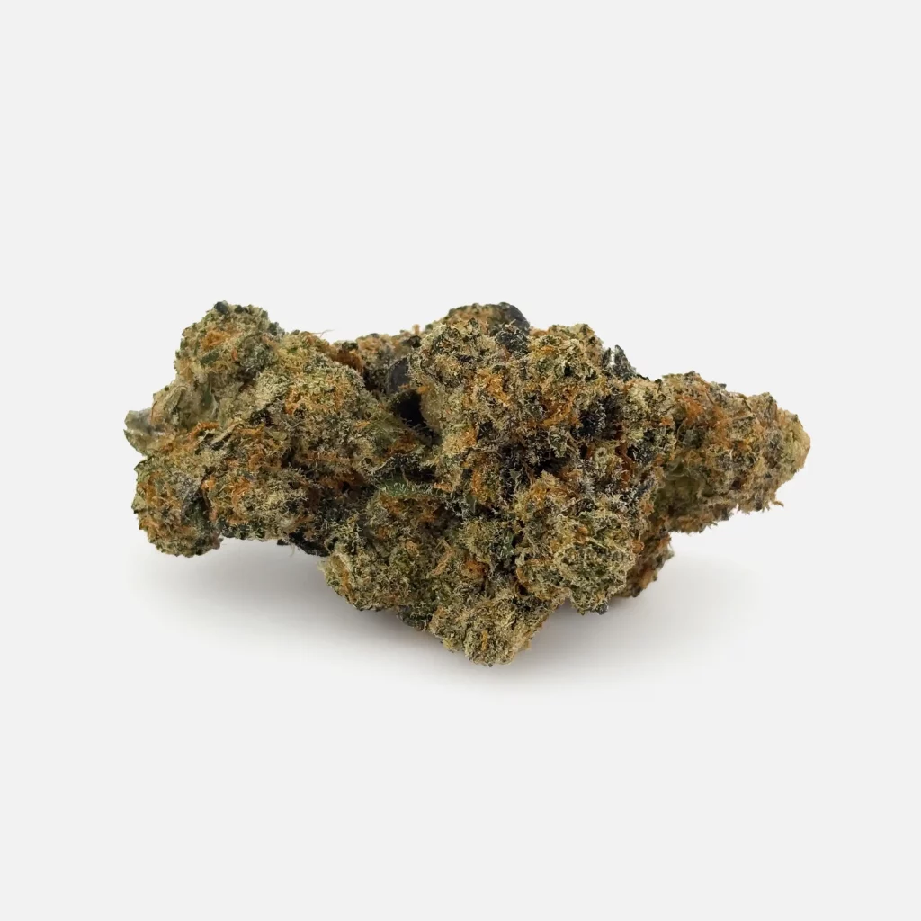Cannabis Blüte von PharmaTerps online Cannabis Apotheke Regensburg