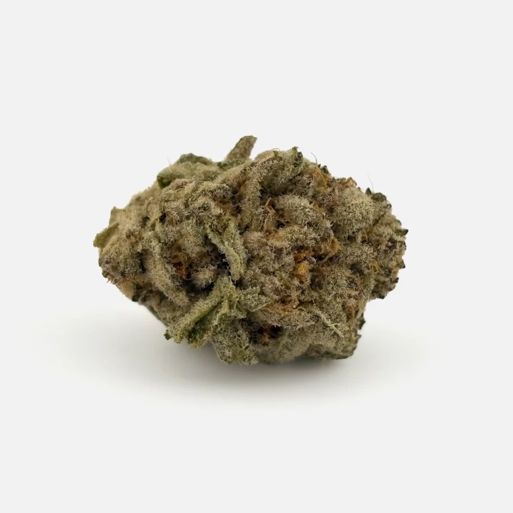 Cannabis Blüte von PharmaTerps online Cannabis Apotheke Regensburg