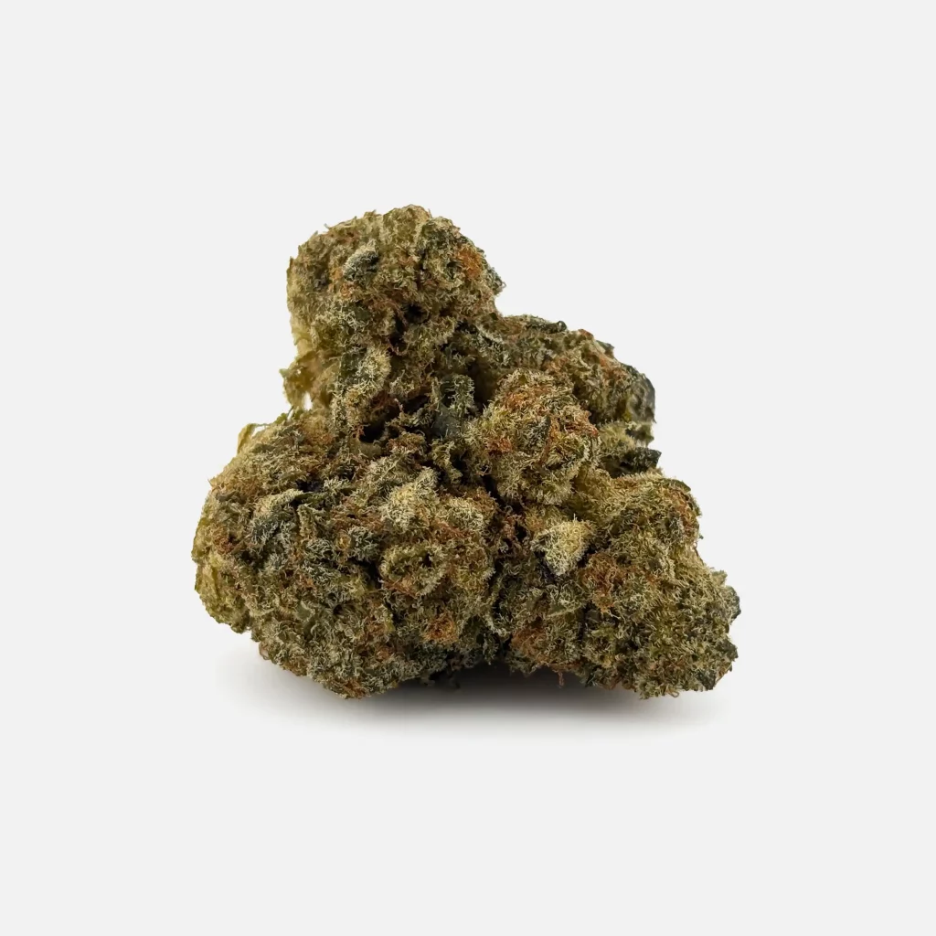 Cannabis Blüte von PharmaTerps online Cannabis Apotheke Regensburg