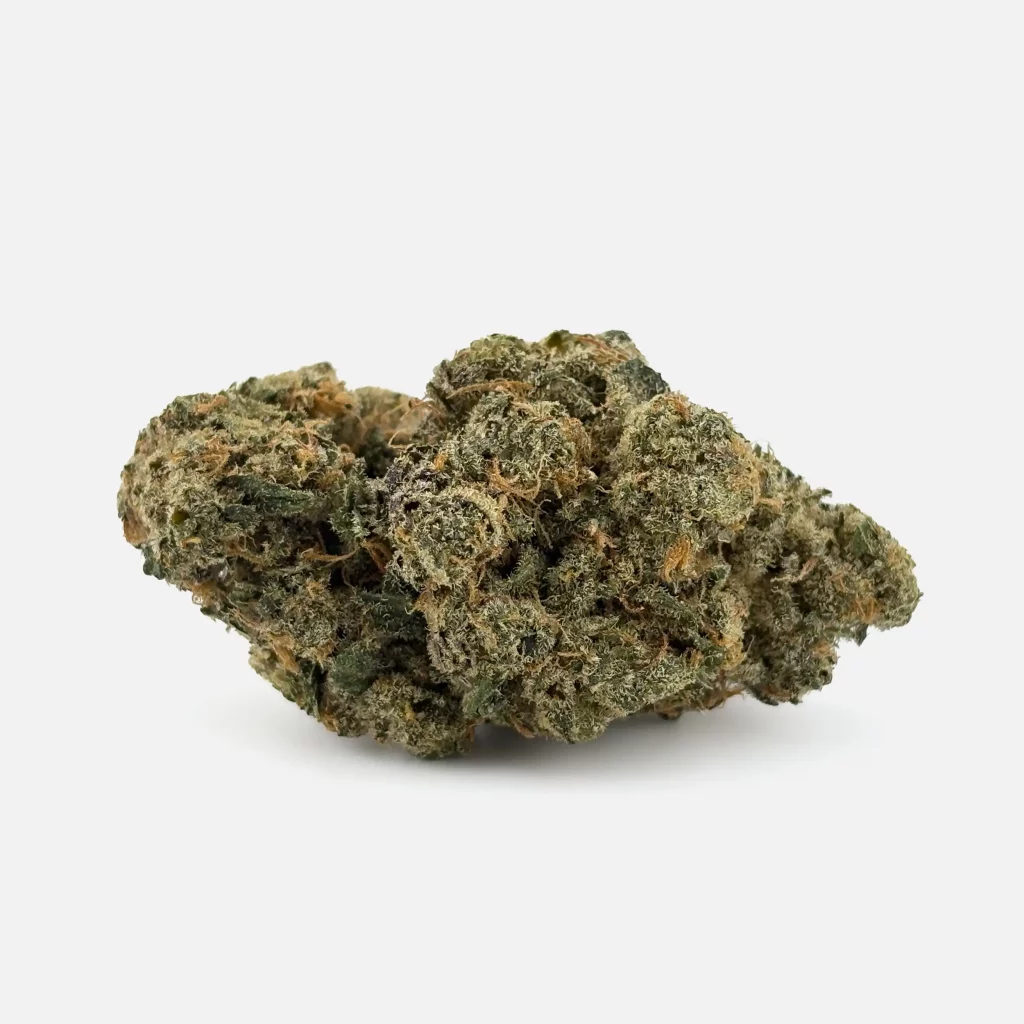 Cannabis Blüte von PharmaTerps online Cannabis Apotheke Regensburg