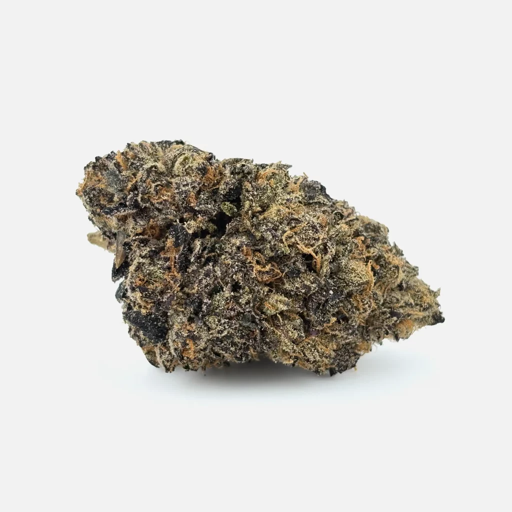 Cannabis Blüte von PharmaTerps online Cannabis Apotheke Regensburg