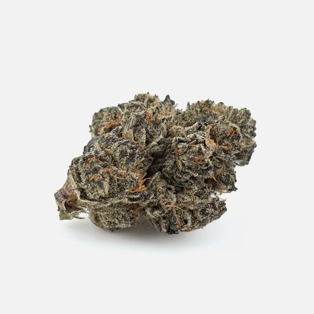 Cannabis Blüte von PharmaTerps online Cannabis Apotheke Regensburg