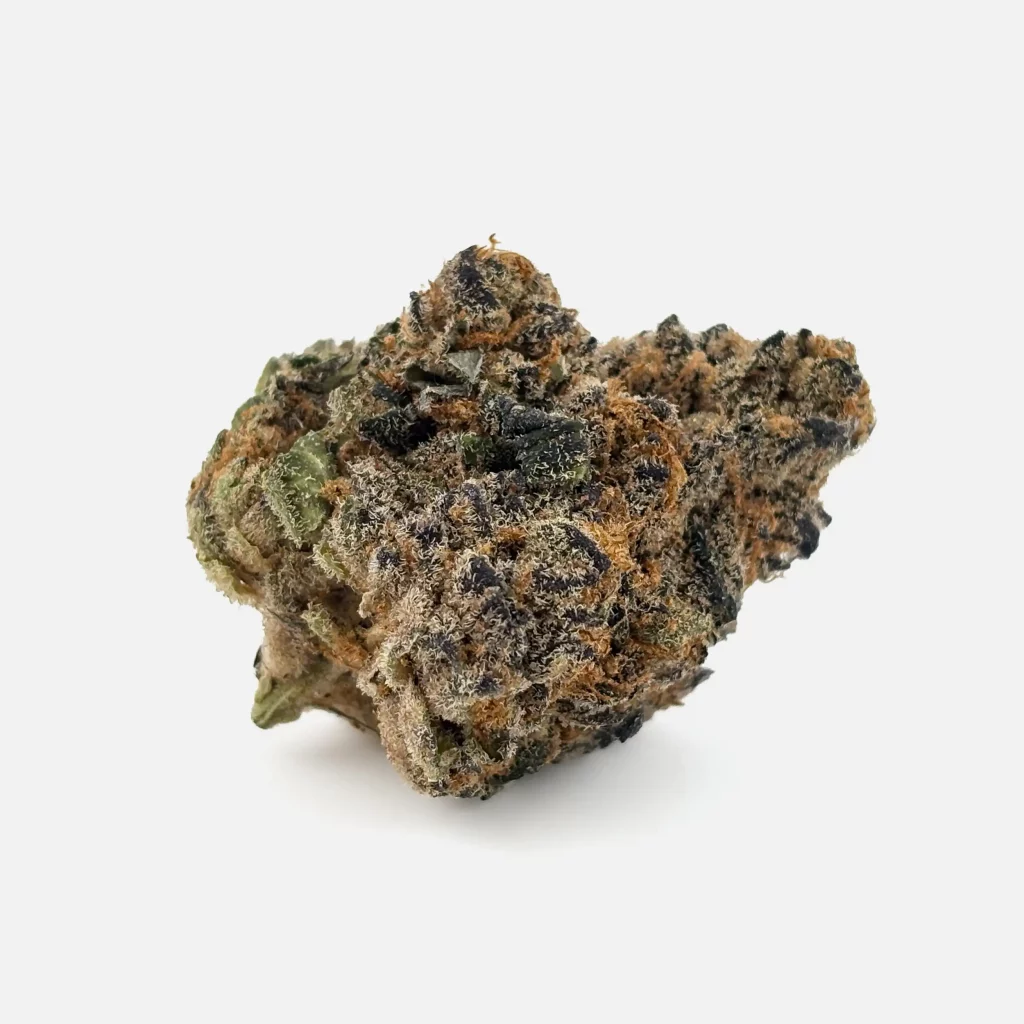 Cannabis Blüte von PharmaTerps online Cannabis Apotheke Regensburg