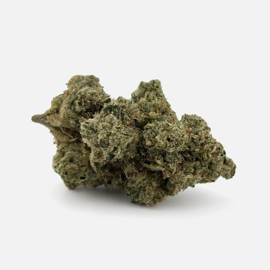 Cannabis Blüte von PharmaTerps online Cannabis Apotheke Regensburg