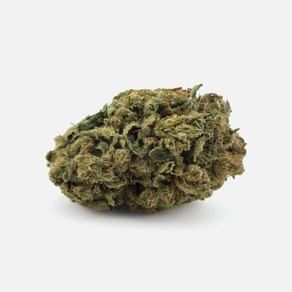 Cannabis Blüte von PharmaTerps online Cannabis Apotheke Regensburg