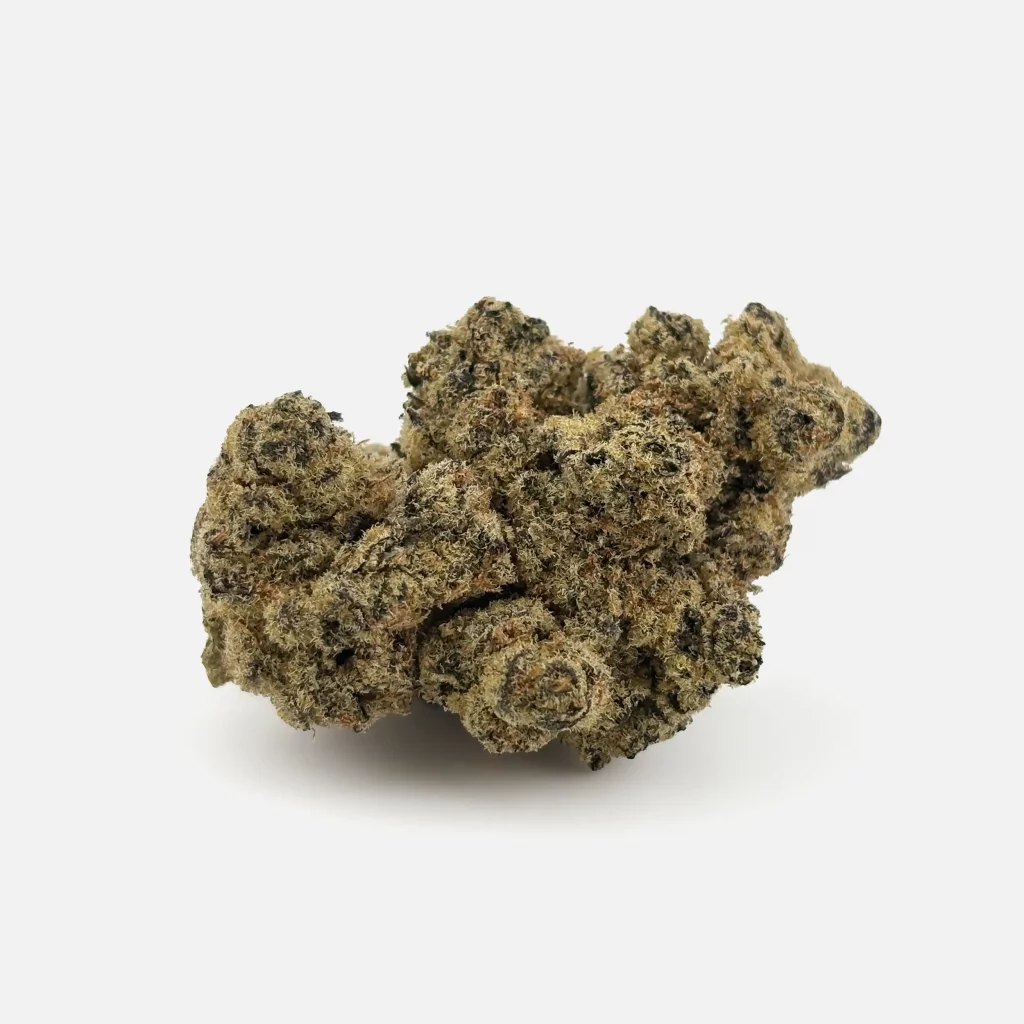 Cannabis Blüte von PharmaTerps online Cannabis Apotheke Regensburg