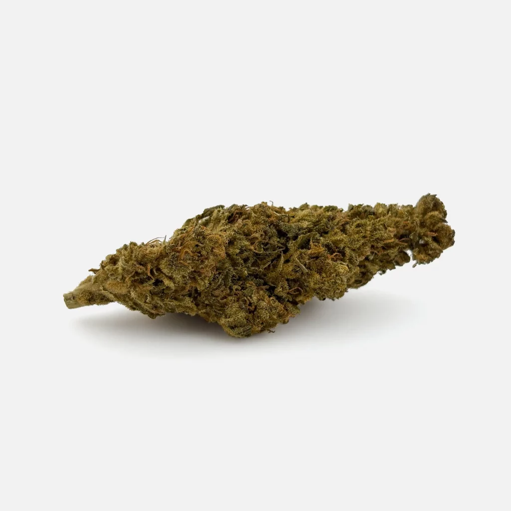 Cannabis Blüte von PharmaTerps online Cannabis Apotheke Regensburg