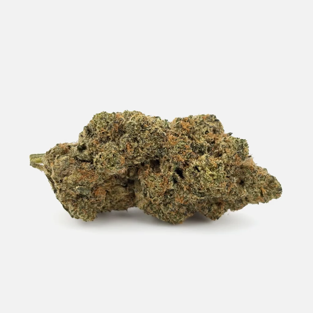 Cannabis Blüte von PharmaTerps online Cannabis Apotheke Regensburg