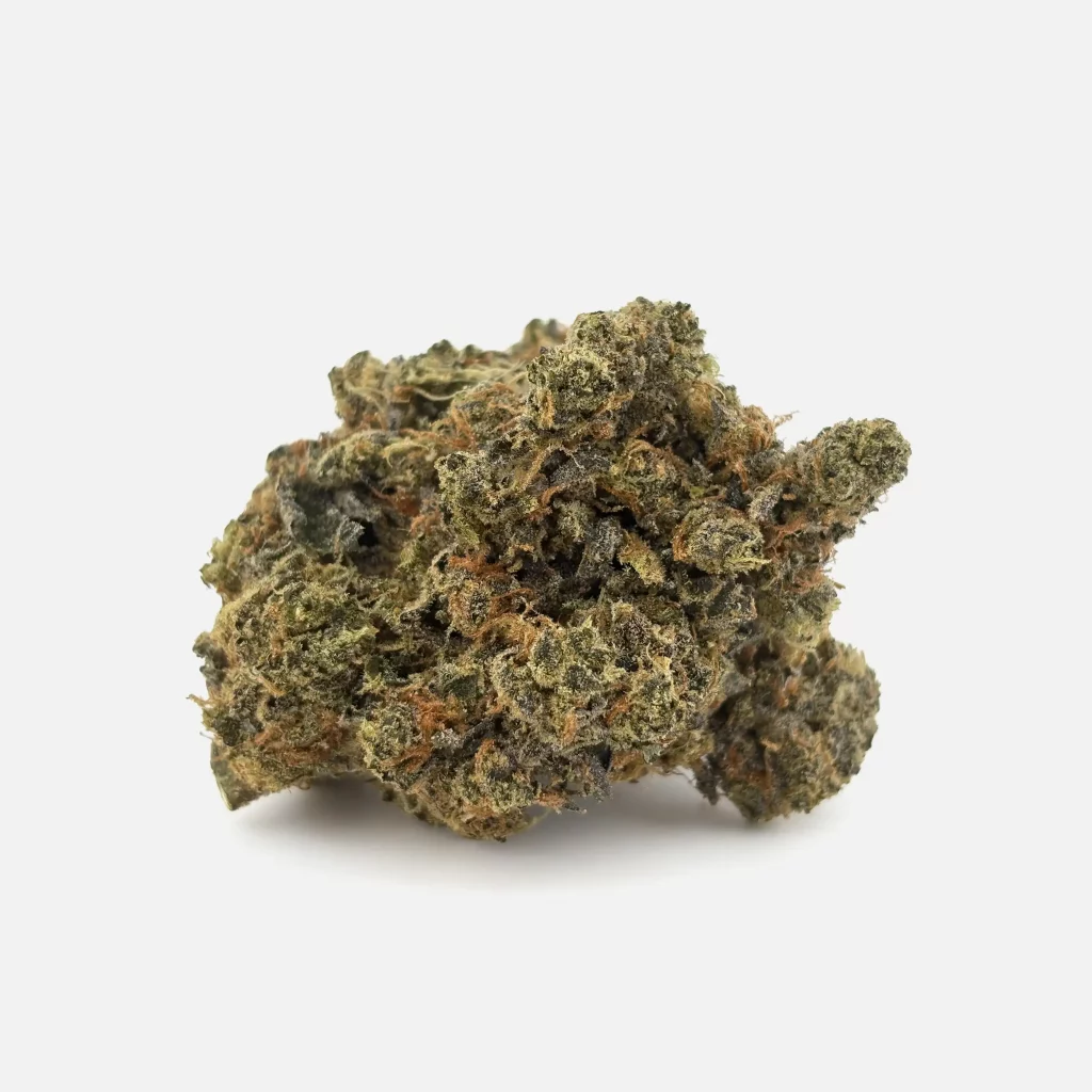 Cannabis Blüte von PharmaTerps online Cannabis Apotheke Regensburg