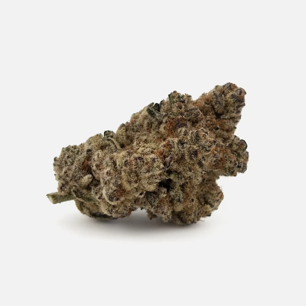 Cannabis Blüte von PharmaTerps online Cannabis Apotheke Regensburg