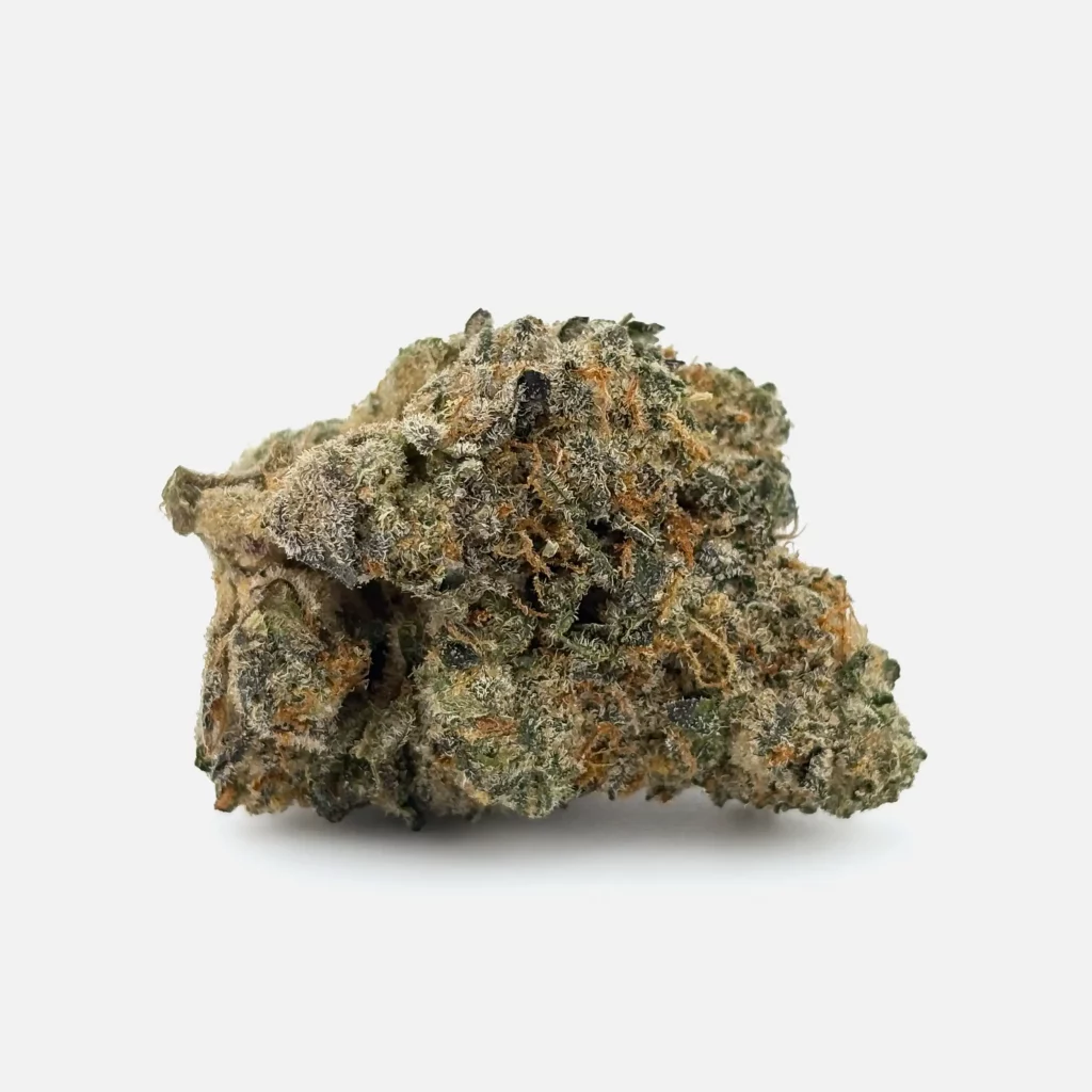 Cannabis Blüte von PharmaTerps online Cannabis Apotheke Regensburg