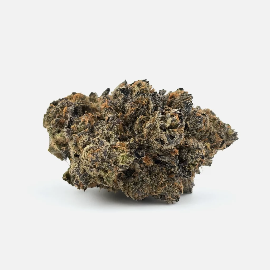 Cannabis Blüte von PharmaTerps online Cannabis Apotheke Regensburg