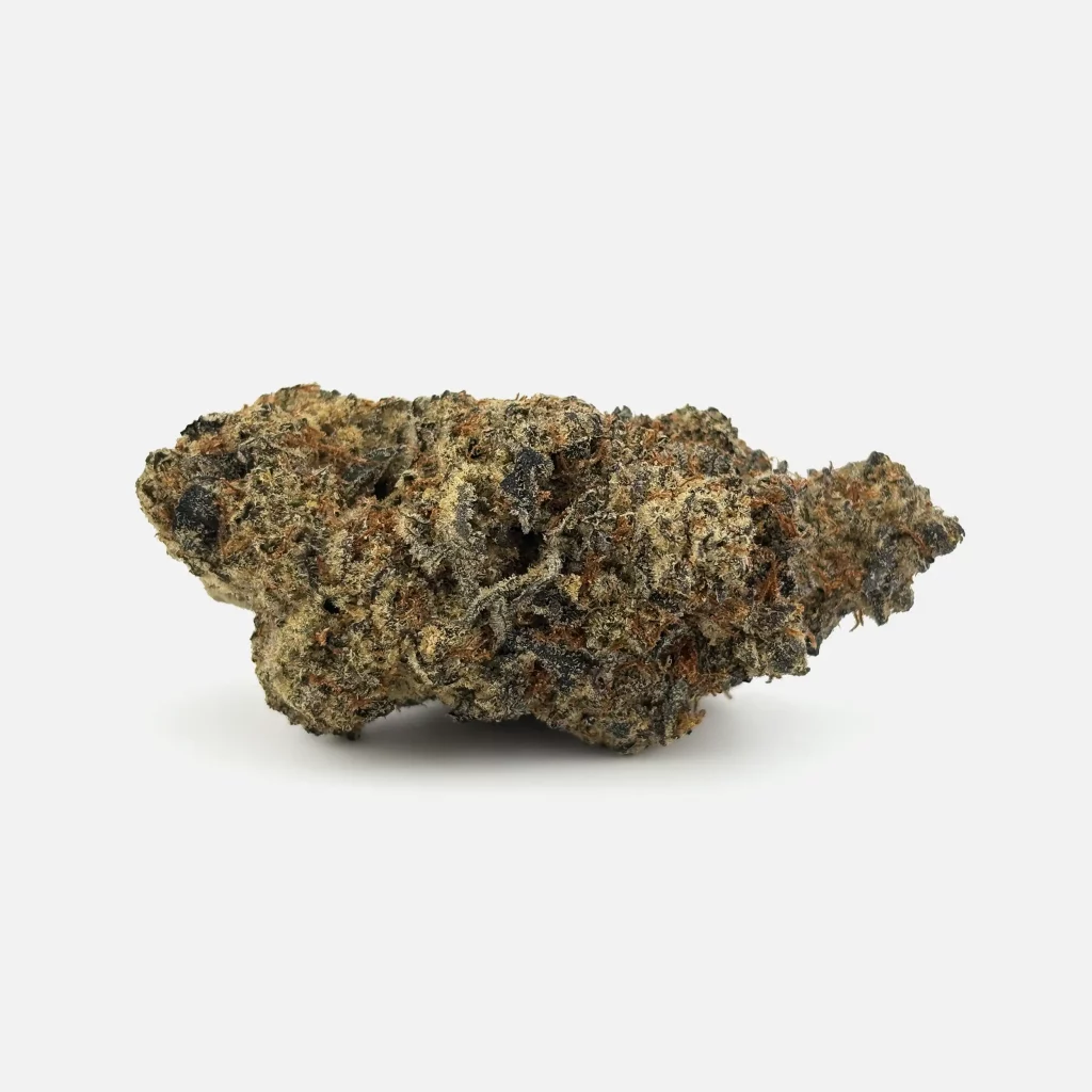 Cannabis Blüte von PharmaTerps online Cannabis Apotheke Regensburg