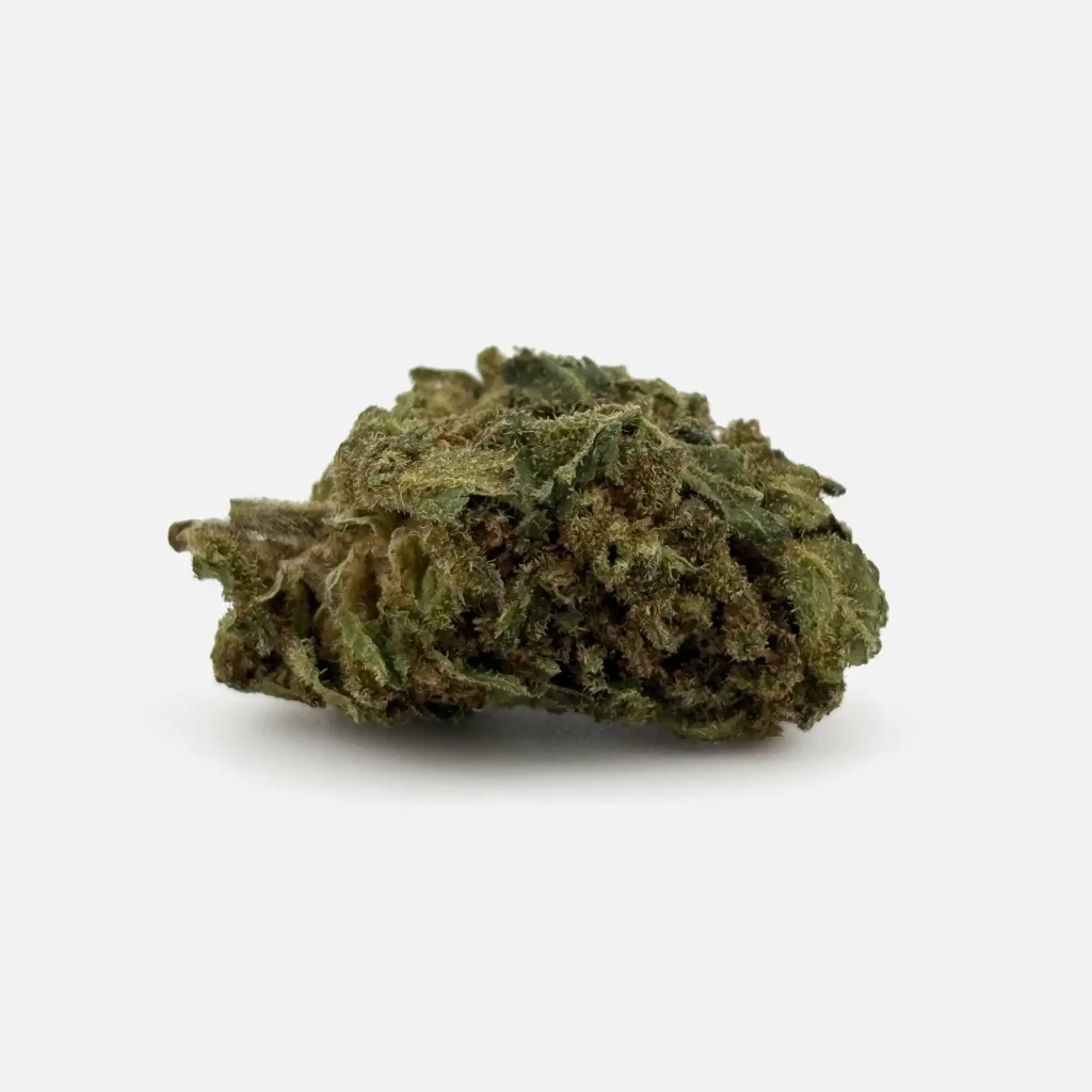 Cannabis Blüte von PharmaTerps online Cannabis Apotheke Regensburg