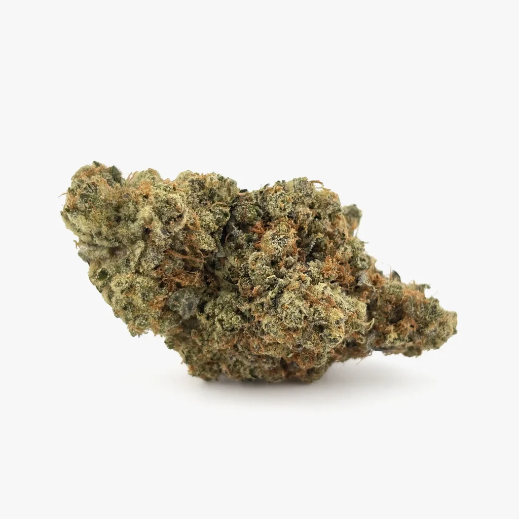 Cannabis Blüte von PharmaTerps online Cannabis Apotheke Regensburg