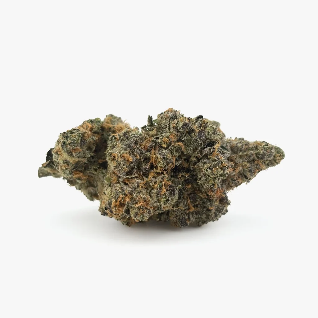 Cannabis Blüte von PharmaTerps online Cannabis Apotheke Regensburg