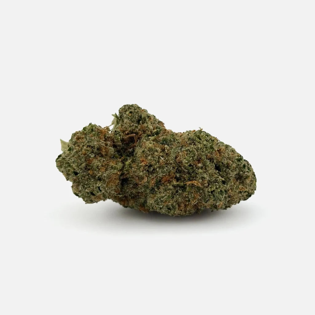 Cannabis Blüte von PharmaTerps online Cannabis Apotheke Regensburg
