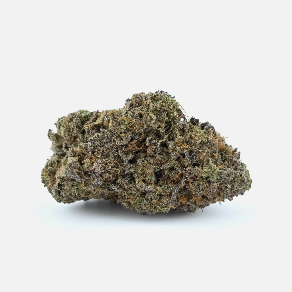 Cannabis Blüte von PharmaTerps online Cannabis Apotheke Regensburg